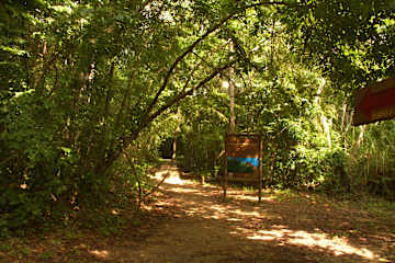 Photos de