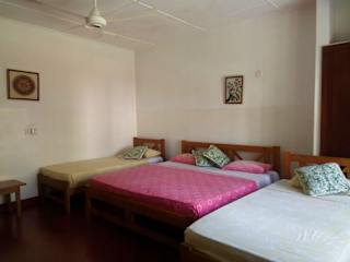 Photos of Hotel Mango Garden