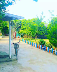 Fotky