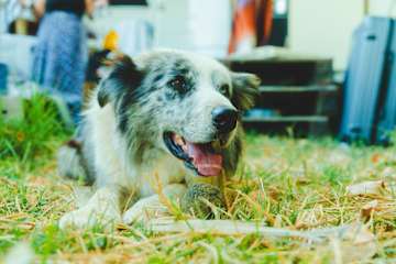 Photos of Casa no Campo