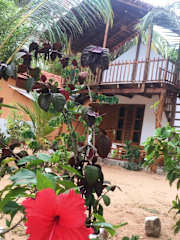 Photos de