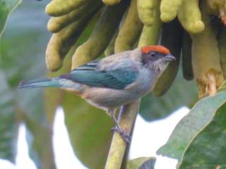 Photos of Mirador Finca Morrogacho