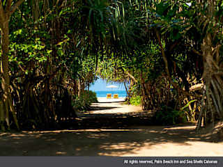 Photos of Palm Beach Inn and Sea Shells Cabanas
