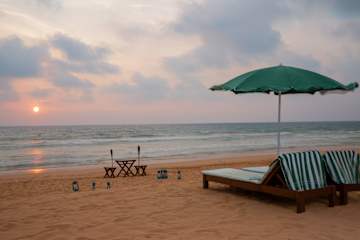 Photos of Palm Beach Inn and Sea Shells Cabanas