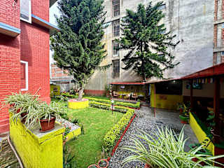 Photos of My Garden House