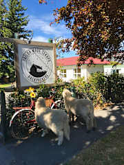 Photos of Tailor Made Tekapo Accommodation
