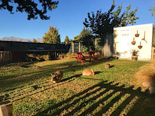 Photos of Tailor Made Tekapo Accommodation