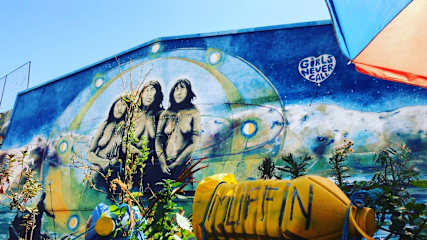 Photos of Muffin Hostel