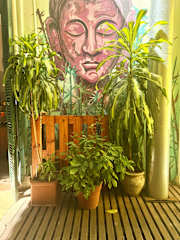 Foto di