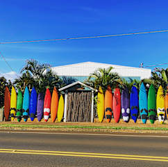 Aloha Surf Hostelの写真