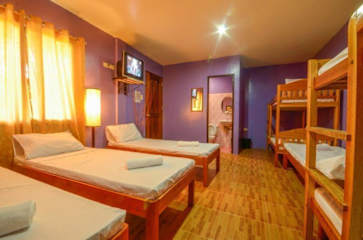 Photos of Butterfly Totem Guesthouse