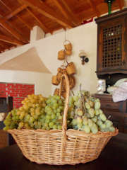 Photos of Harvest Guesthouse