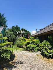 Photos of Hostel French Andes