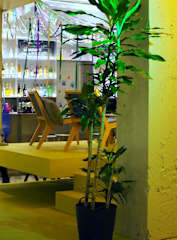 Photos of ClinkNOORD