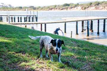 Fotos de Riverfront Backpackers