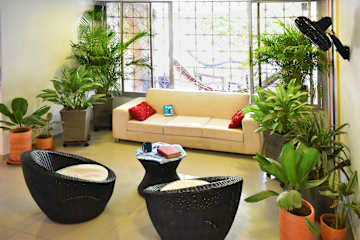 Photos of Color Hostel