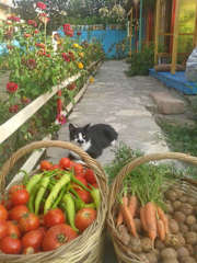 Photos of Garden of Cappadocia