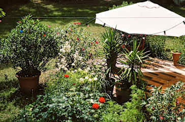 Photos of Hostel & Garten Eden