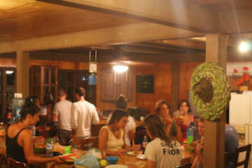 Photos of Green Monkey Bacalar
