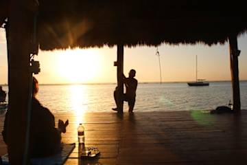 Photos of Green Monkey Bacalar