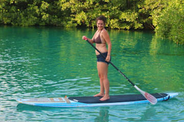 Photos of Green Monkey Bacalar
