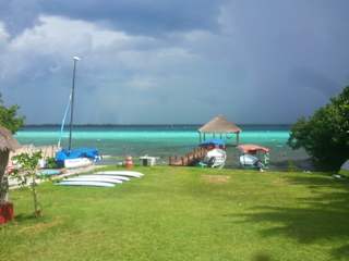 Photos of Green Monkey Bacalar