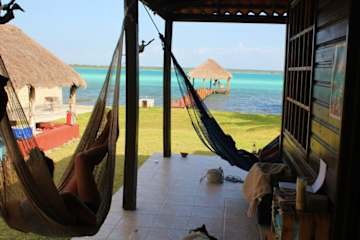 Photos of Green Monkey Bacalar