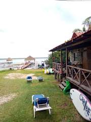 Photos of Green Monkey Bacalar