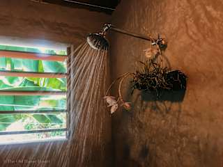 Photos of The Old House Hostel
