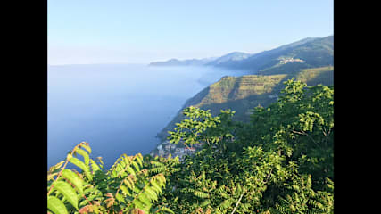 Bilder av