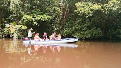 Bilder av
