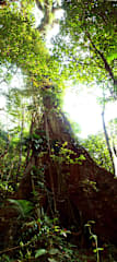 Photos of Casa Bacarira Ecolodge
