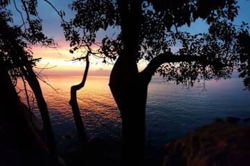 Photos of RainForest Camping Perhentian Island