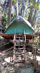 Photos of RainForest Camping Perhentian Island
