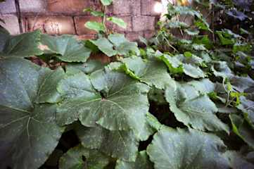 Photos of Shu Hostel