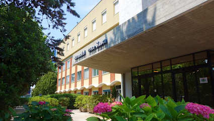 Bilder av
