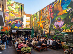 Drunken Monkey Hostel