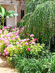 AVAIL Hostel