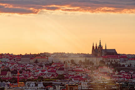 Luma Terra Prague Hostel — photo 5