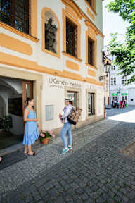 Women's Only Hostel Prague. Female Only — photo 3