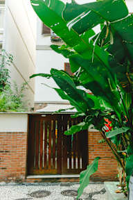 Palace Beach Hostel