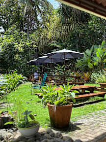 Svastha | Yoga & Ayurveda Cafe, Puerto Viejo de Talamanca – Precios y ...