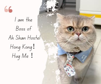 Ah Shan Hostel Hong Kong