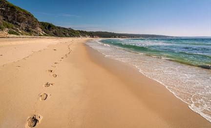 Billeder af Catlins Newhaven Holiday Park
