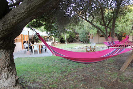 Foton av Hostal El Arbol II - Beach