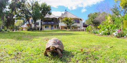 Fotos de Winelands Villa Guesthouse and Cottages