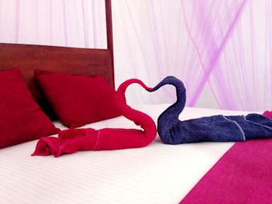 Фотографии Aurora Beach Hostel - Negombo