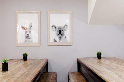 Bilder av Mad Monkey on Broadway