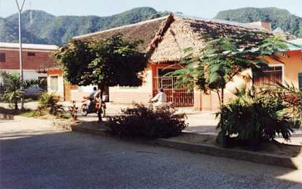 Photos of Los Tucanes de Rurre