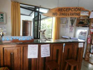 Foton av Hostal Limoncocha